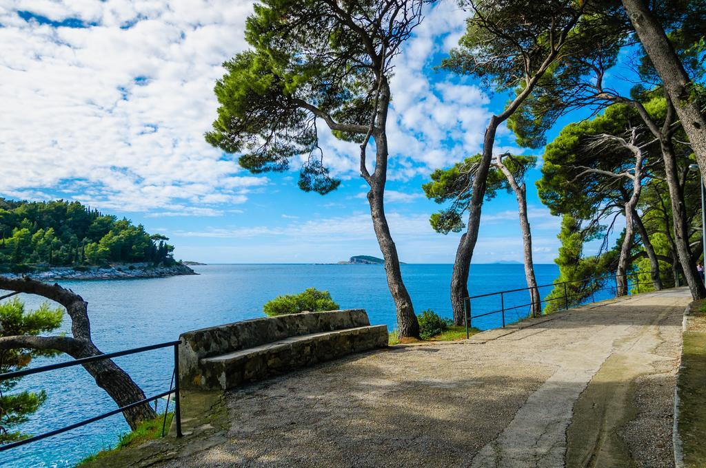 Windrose Apartmán Cavtat